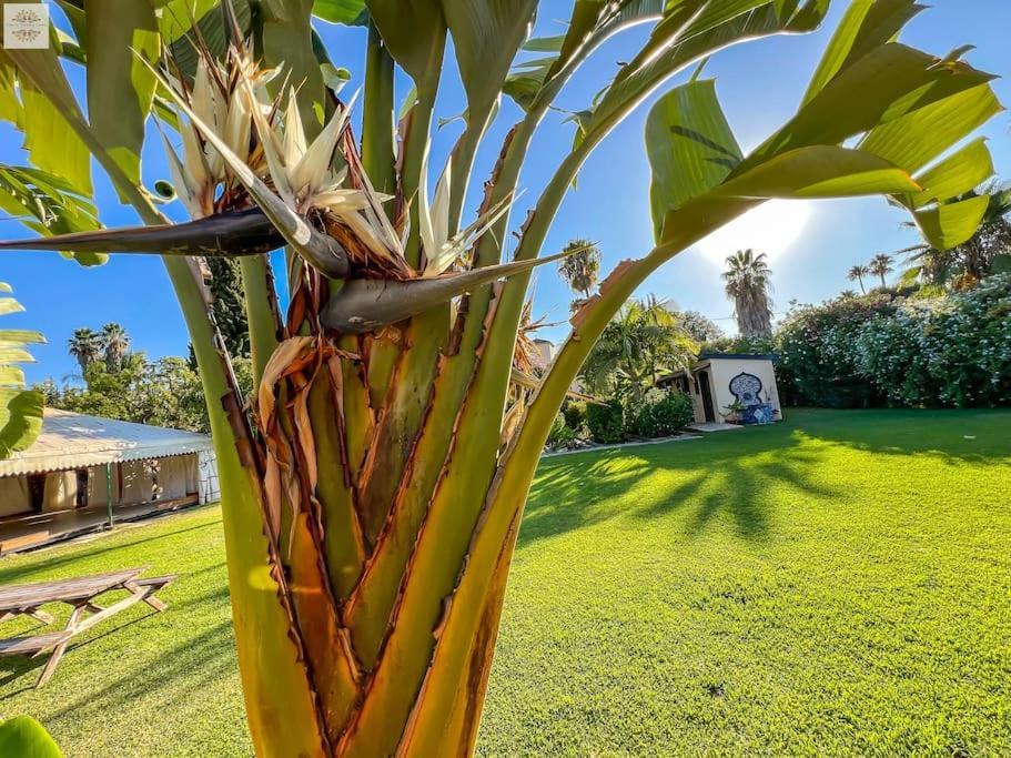 Finca Tierra Sana Estepona Zewnętrze zdjęcie