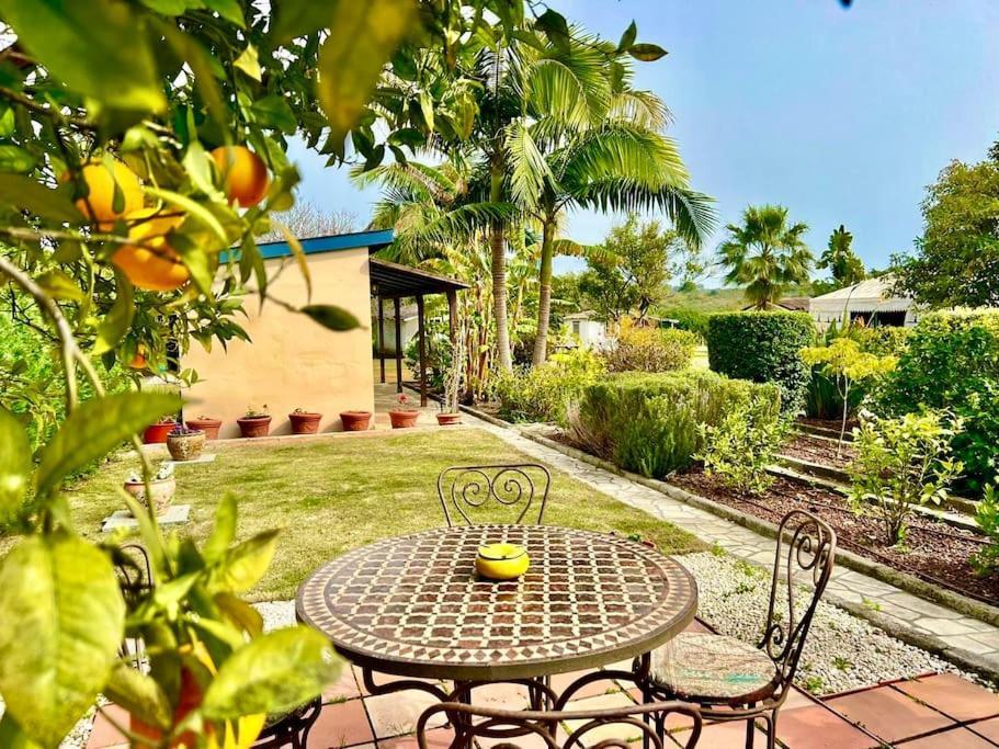 Finca Tierra Sana Estepona Zewnętrze zdjęcie