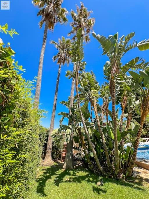 Finca Tierra Sana Estepona Zewnętrze zdjęcie