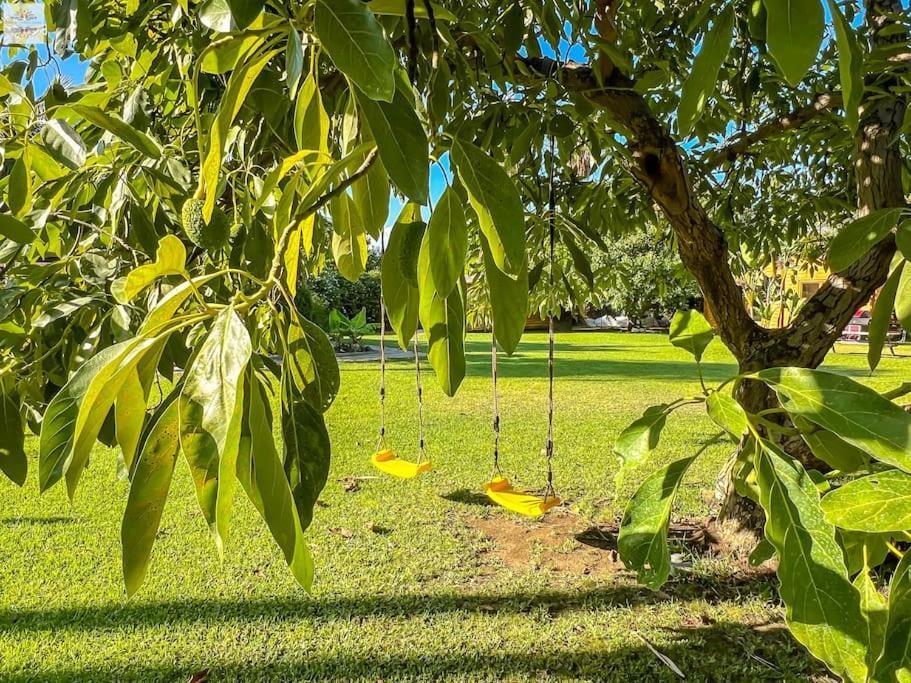 Finca Tierra Sana Estepona Zewnętrze zdjęcie