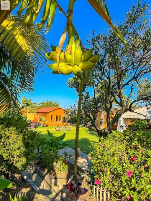 Finca Tierra Sana Estepona Zewnętrze zdjęcie