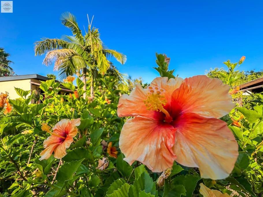 Finca Tierra Sana Estepona Zewnętrze zdjęcie